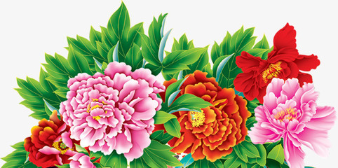 牡丹花開富貴圖 免費(fèi)高清PNG素材，點(diǎn)綴你的創(chuàng)意設(shè)計