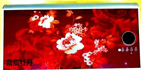 攜手順太樂(lè)，共贏綠色未來(lái) 誠(chéng)征節(jié)能健康環(huán)保電熱兩用熱水器代理經(jīng)銷商